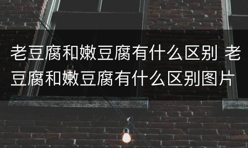 老豆腐和嫩豆腐有什么区别 老豆腐和嫩豆腐有什么区别图片
