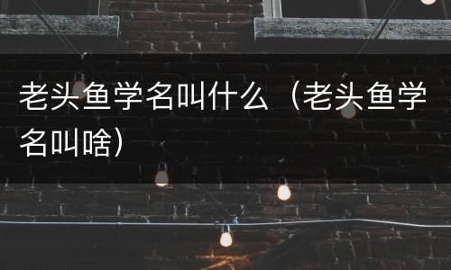 老头鱼学名叫什么（老头鱼学名叫啥）