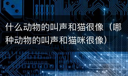 什么动物的叫声和猫很像（哪种动物的叫声和猫咪很像）
