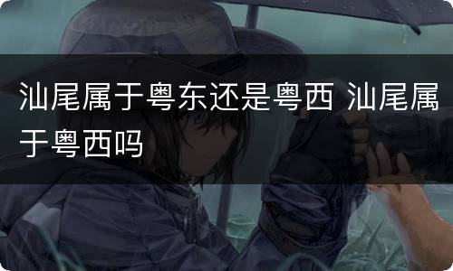 汕尾属于粤东还是粤西 汕尾属于粤西吗