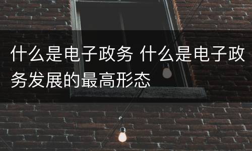 什么是电子政务 什么是电子政务发展的最高形态