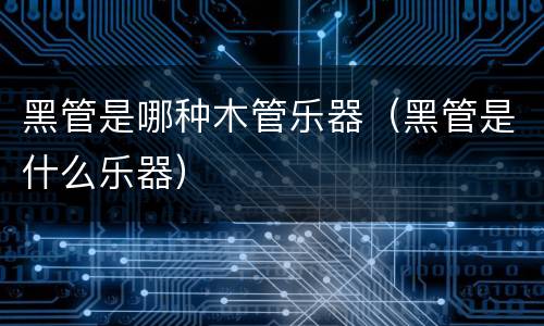 黑管是哪种木管乐器（黑管是什么乐器）