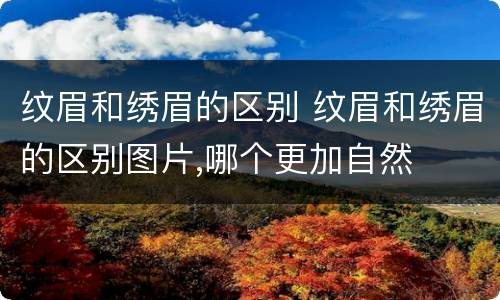 纹眉和绣眉的区别 纹眉和绣眉的区别图片,哪个更加自然