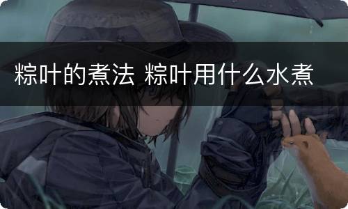粽叶的煮法 粽叶用什么水煮