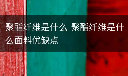 聚酯纤维是什么 聚酯纤维是什么面料优缺点