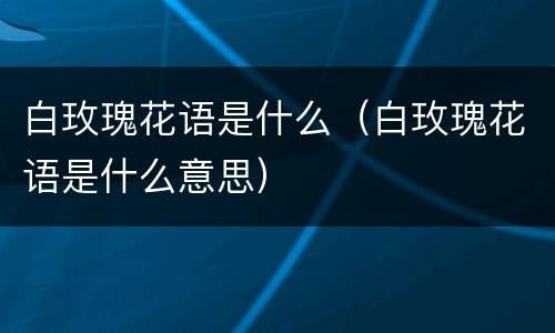 白玫瑰花语是什么（白玫瑰花语是什么意思）