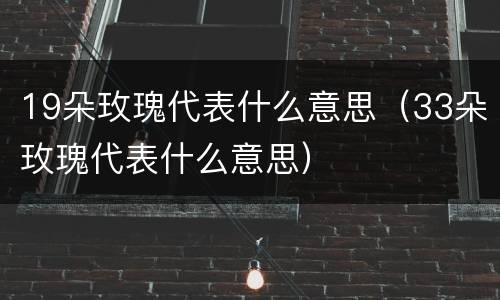 19朵玫瑰代表什么意思（33朵玫瑰代表什么意思）