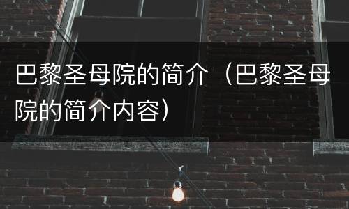 巴黎圣母院的简介（巴黎圣母院的简介内容）