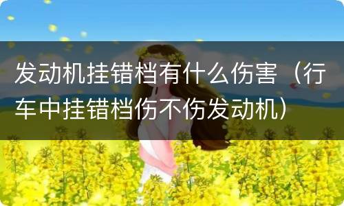 发动机挂错档有什么伤害（行车中挂错档伤不伤发动机）