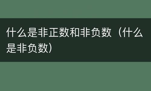 什么是非正数和非负数（什么是非负数）