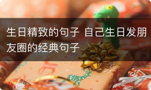 生日精致的句子 自己生日发朋友圈的经典句子