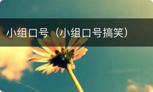 小组口号（小组口号搞笑）