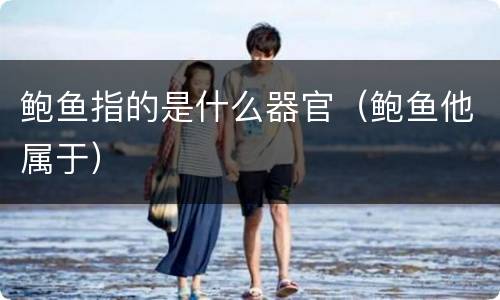 鲍鱼指的是什么器官（鲍鱼他属于）