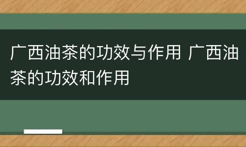 广西油茶的功效与作用 广西油茶的功效和作用