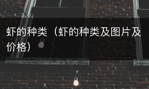 虾的种类（虾的种类及图片及价格）