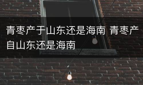 青枣产于山东还是海南 青枣产自山东还是海南