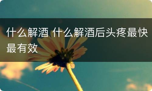 什么解酒 什么解酒后头疼最快最有效