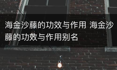 海金沙藤的功效与作用 海金沙藤的功效与作用别名