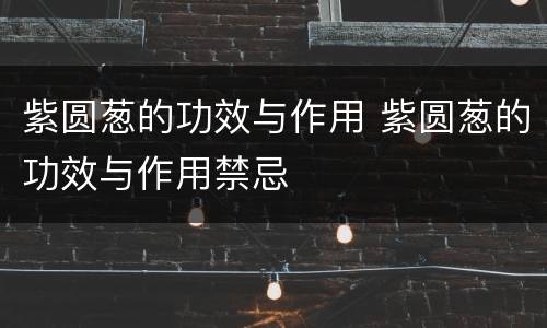 紫圆葱的功效与作用 紫圆葱的功效与作用禁忌