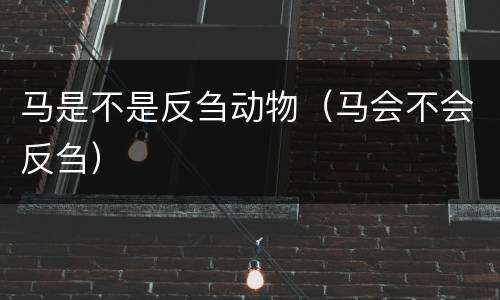 马是不是反刍动物（马会不会反刍）