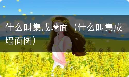 什么叫集成墙面（什么叫集成墙面图）