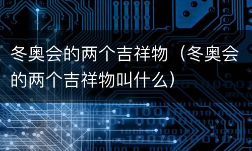 冬奥会的两个吉祥物（冬奥会的两个吉祥物叫什么）