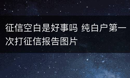 征信空白是好事吗 纯白户第一次打征信报告图片