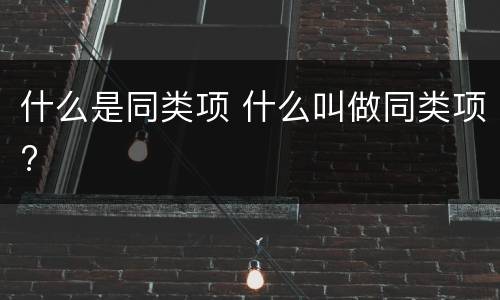 什么是同类项 什么叫做同类项?