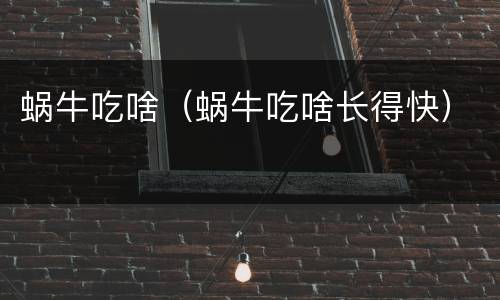 蜗牛吃啥（蜗牛吃啥长得快）