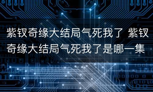 紫钗奇缘大结局气死我了 紫钗奇缘大结局气死我了是哪一集