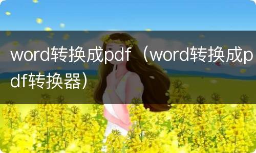 word转换成pdf（word转换成pdf转换器）