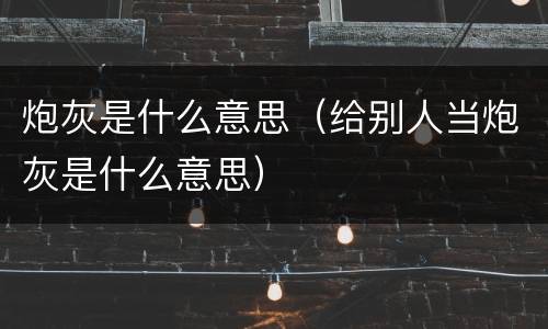 炮灰是什么意思（给别人当炮灰是什么意思）