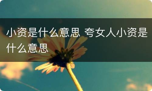 小资是什么意思 夸女人小资是什么意思