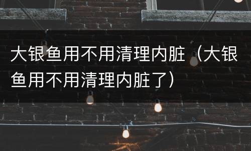 大银鱼用不用清理内脏（大银鱼用不用清理内脏了）