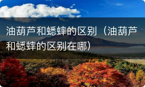 油葫芦和蟋蟀的区别（油葫芦和蟋蟀的区别在哪）