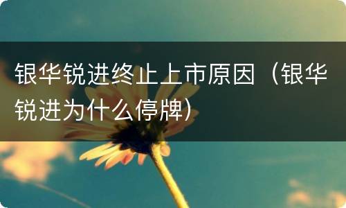 银华锐进终止上市原因（银华锐进为什么停牌）