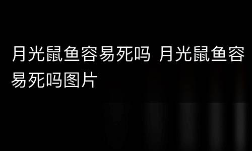 月光鼠鱼容易死吗 月光鼠鱼容易死吗图片
