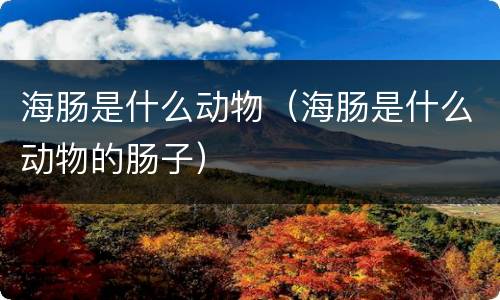 海肠是什么动物（海肠是什么动物的肠子）
