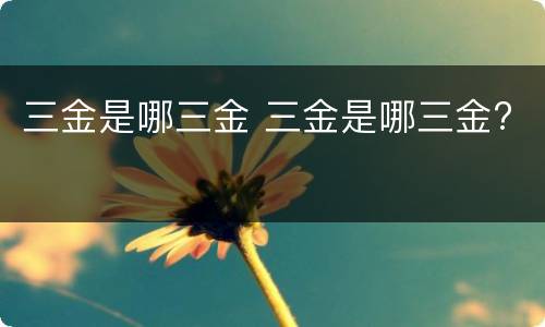 三金是哪三金 三金是哪三金?