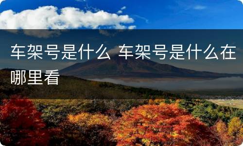 车架号是什么 车架号是什么在哪里看
