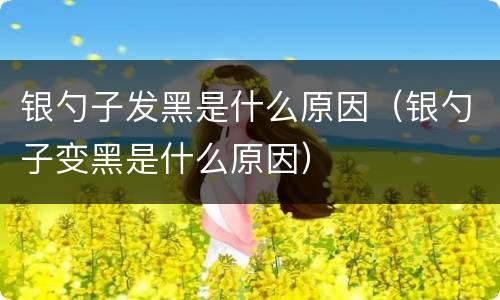 银勺子发黑是什么原因（银勺子变黑是什么原因）