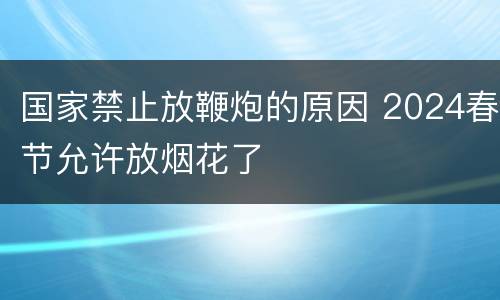 国家禁止放鞭炮的原因 2024春节允许放烟花了