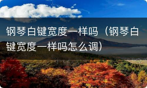 钢琴白键宽度一样吗（钢琴白键宽度一样吗怎么调）