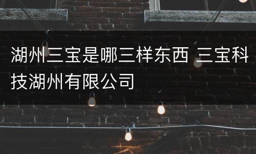 湖州三宝是哪三样东西 三宝科技湖州有限公司