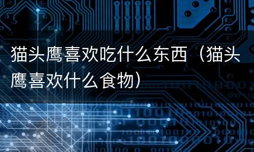 猫头鹰喜欢吃什么东西（猫头鹰喜欢什么食物）