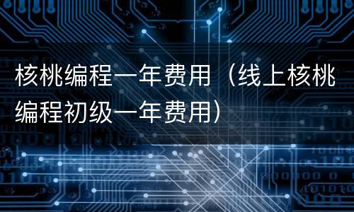核桃编程一年费用（线上核桃编程初级一年费用）