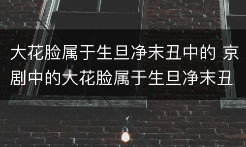 大花脸属于生旦净末丑中的 京剧中的大花脸属于生旦净末丑中的丑吗
