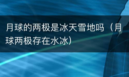 月球的两极是冰天雪地吗（月球两极存在水冰）