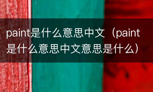paint是什么意思中文（paint是什么意思中文意思是什么）