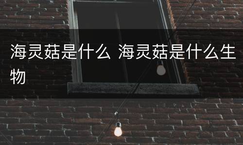 海灵菇是什么 海灵菇是什么生物